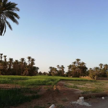 Kasbah Les Alizes Du Desert M'Hamid Esterno foto