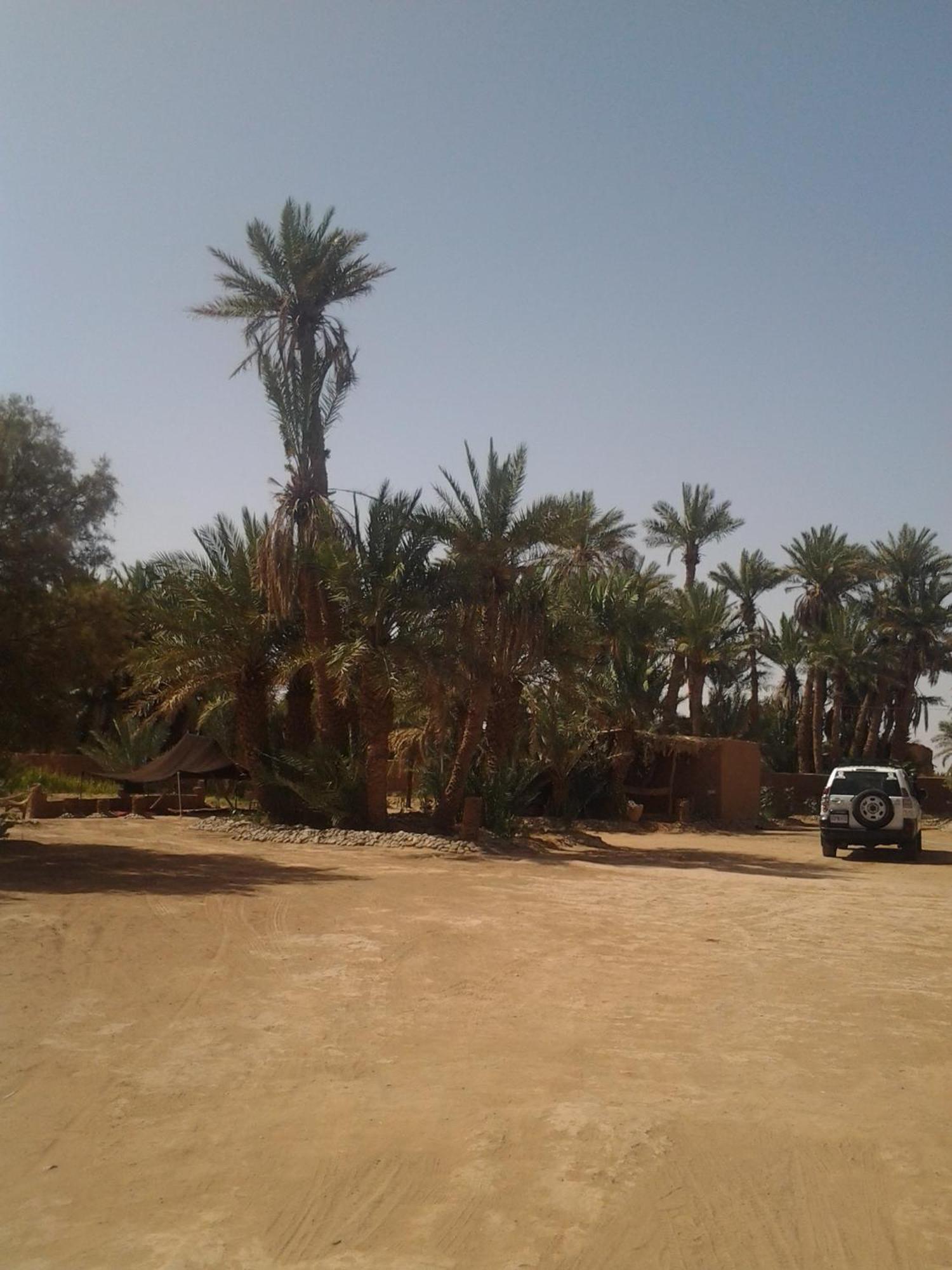 Kasbah Les Alizes Du Desert M'Hamid Esterno foto