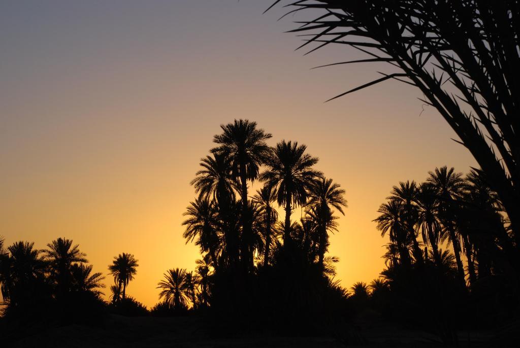 Kasbah Les Alizes Du Desert M'Hamid Esterno foto