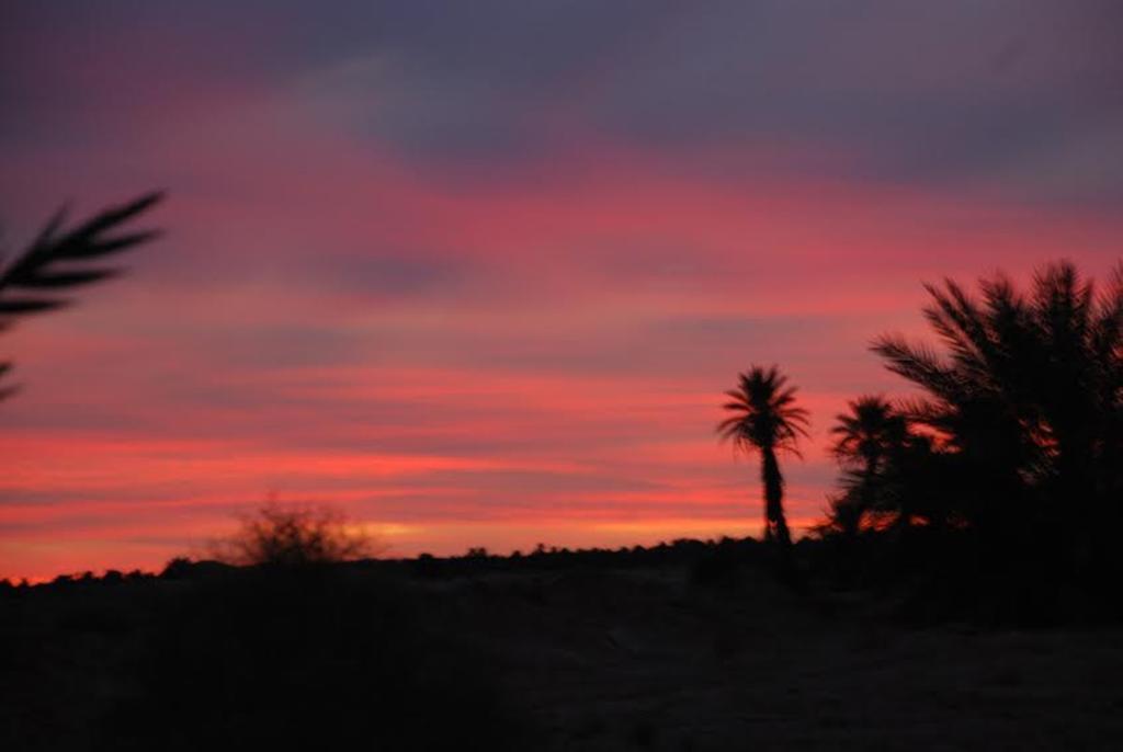 Kasbah Les Alizes Du Desert M'Hamid Esterno foto