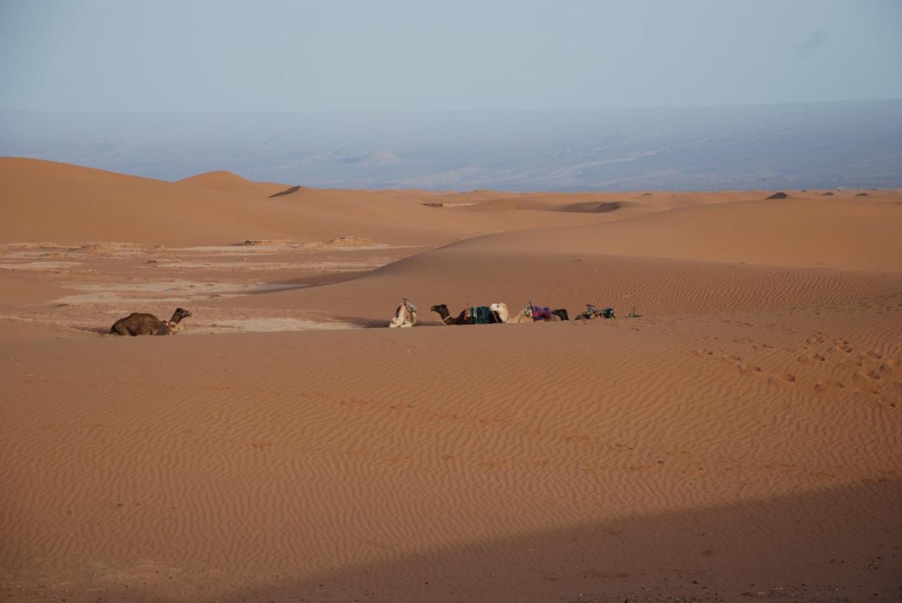 Kasbah Les Alizes Du Desert M'Hamid Esterno foto