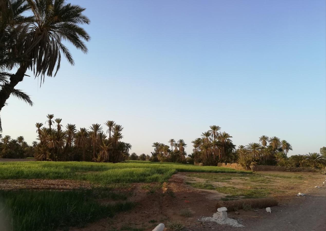 Kasbah Les Alizes Du Desert M'Hamid Esterno foto