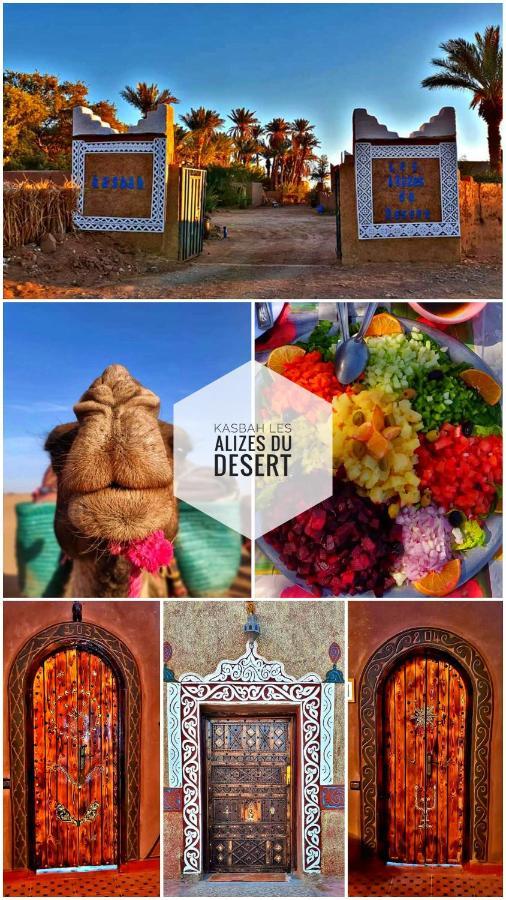 Kasbah Les Alizes Du Desert M'Hamid Esterno foto
