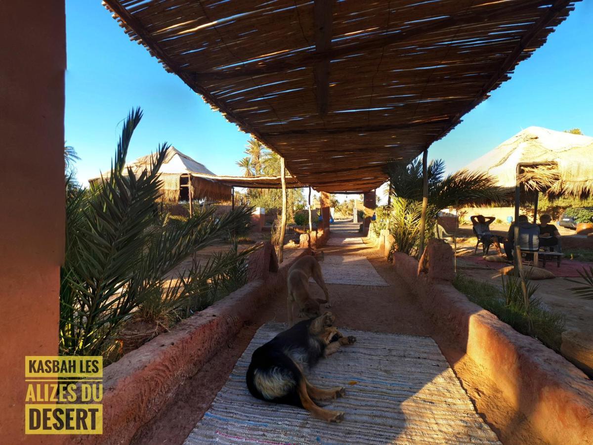 Kasbah Les Alizes Du Desert M'Hamid Esterno foto
