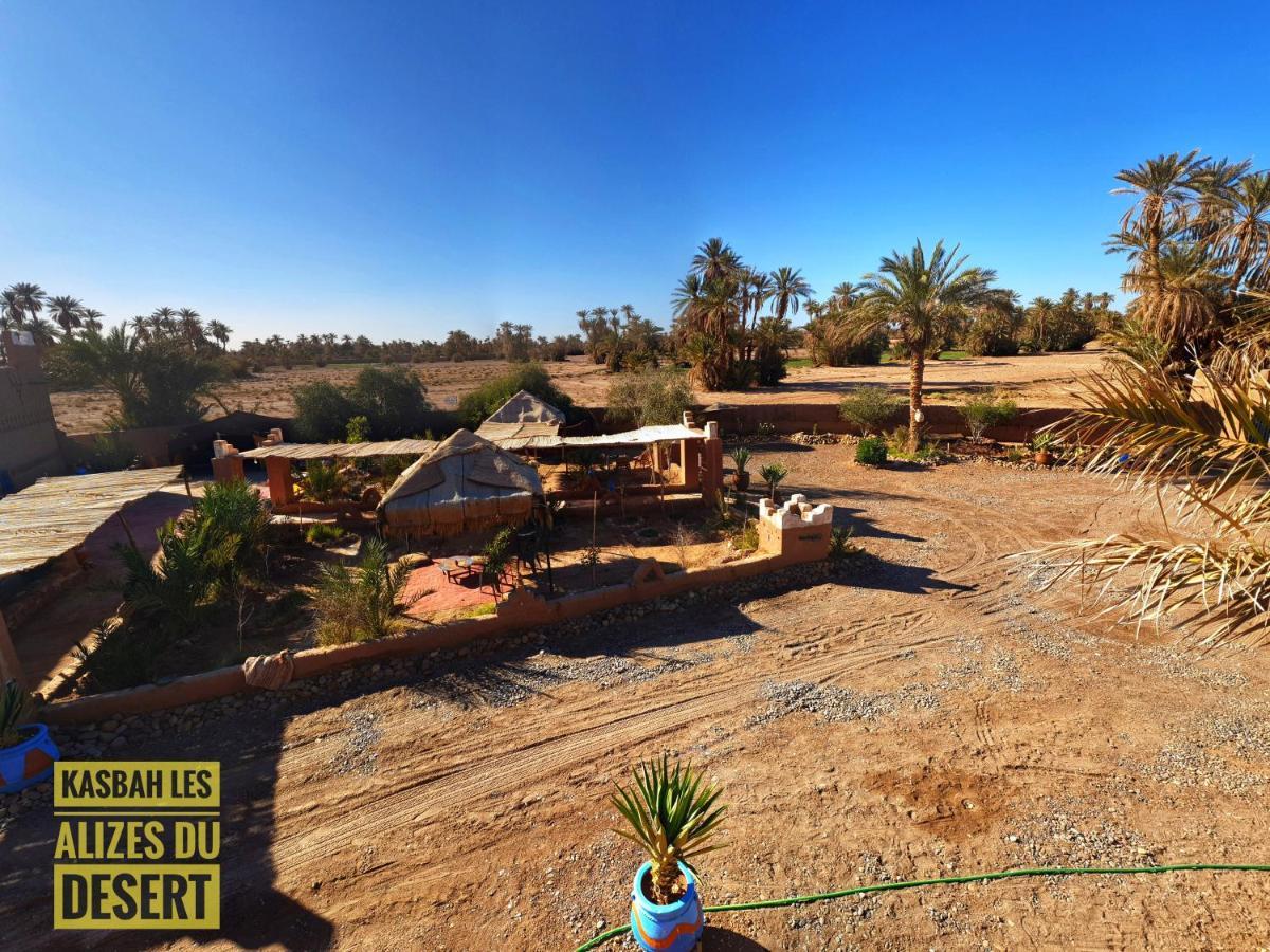 Kasbah Les Alizes Du Desert M'Hamid Esterno foto